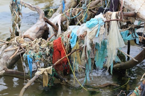 Beach Pollution