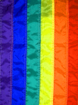 gay flag