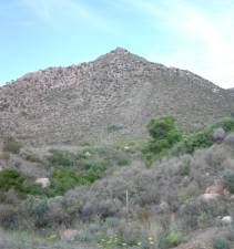 Forest land slowly becoming a desert due to deforestation.